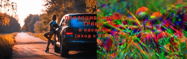 мяу мяу мука Абинск