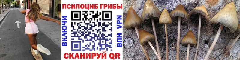 Галлюциногенные грибы Magic Shrooms  Туран 